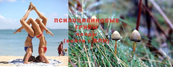 хмурый Абинск